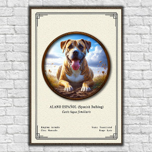 Poster Bouledogue Espagnol (Alano Español) Série de Zoolo