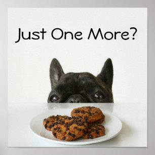 Poster Bouledogue français Brindle noir