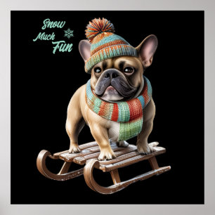 Poster Bouledogue français faisant une descente en traîne