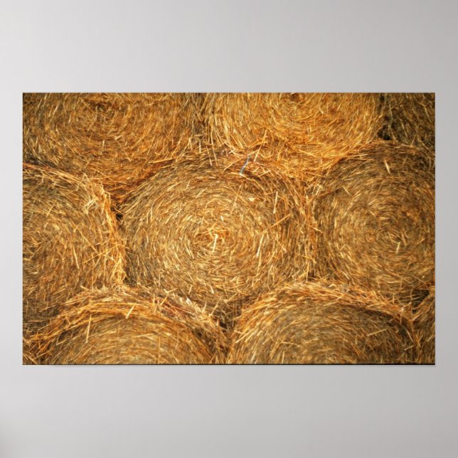 Poster Boules de foin (Devant)