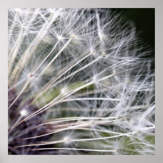 Poster Boume de pustère