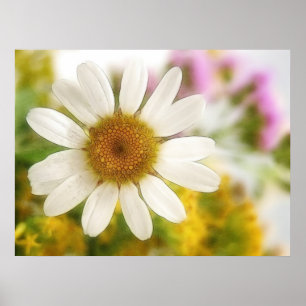 Poster Bouquet de fleurs - Marguerite blanche