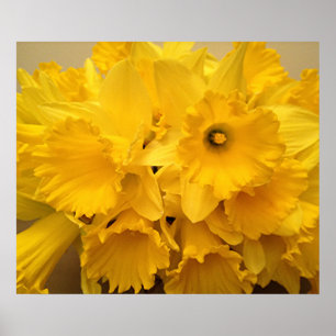 Poster Bouquet de jonquilles