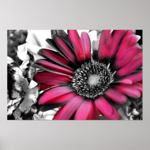 Poster Bouquet de printemps en noir et blanc