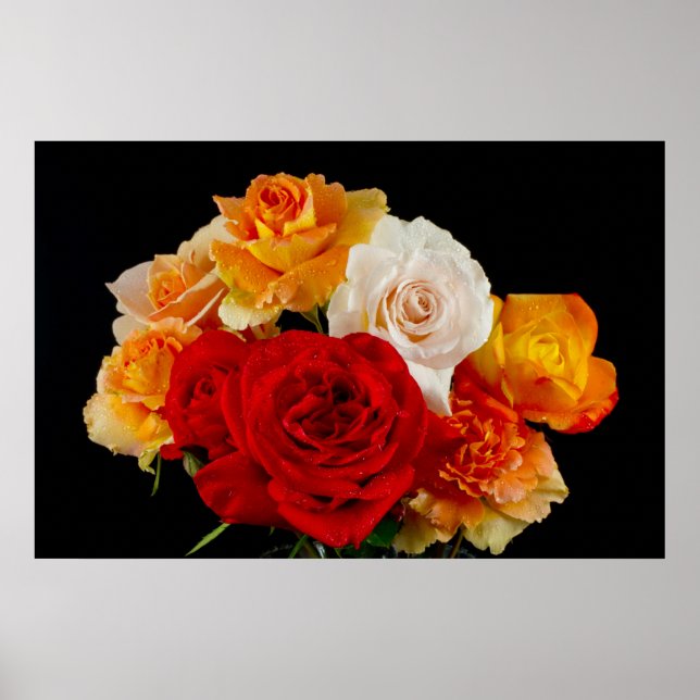 Poster Bouquet de Roses en noir (Devant)
