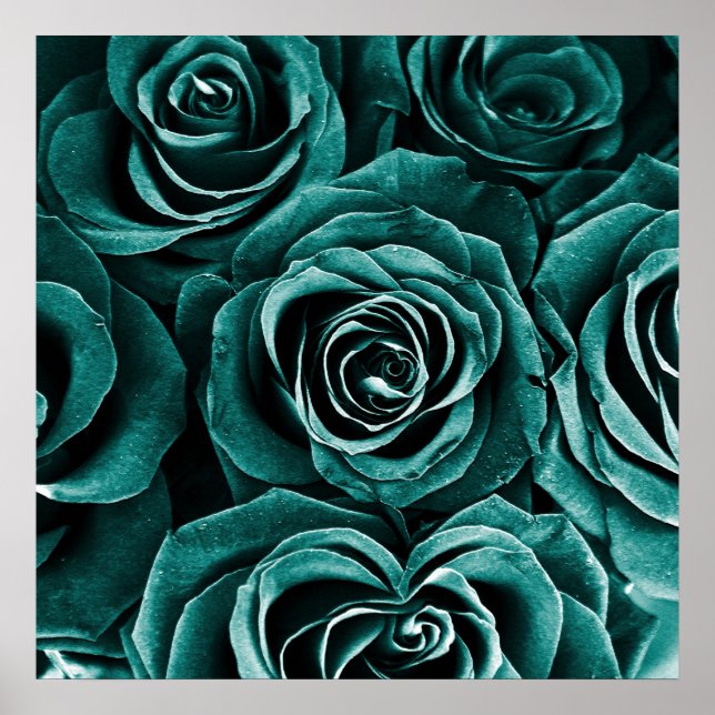 Poster Bouquet de roses en Turquoise (Devant)