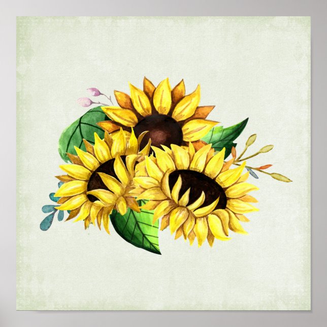 Poster Bouquet de tournesol jaune en aquarelle (Devant)