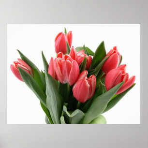Poster Bouquet de tulipe