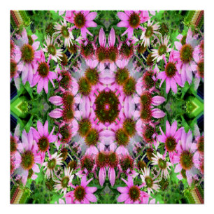 Poster Bouquet d'Echanicea...