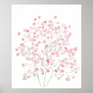 Poster bouquet gypsophila watercol rose pâle