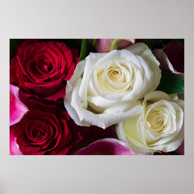 POSTER BOUQUET OF ROSES (Devant)