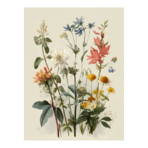 Bouquet Prairie de Fleurs Sauvages