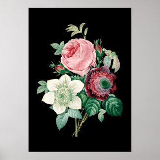 Poster Bouquet rose arrière - plan noir de Redoute imprim