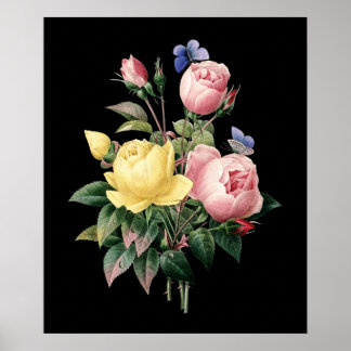 Poster Bouquet rose Redoute noir dramatique arrière - pla