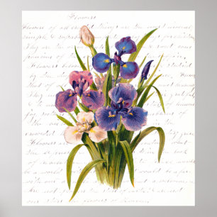 Poster Bouquet vintage de Lilacs - Texte de Clara Balfour