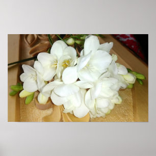 Poster Bouquet White Freesia