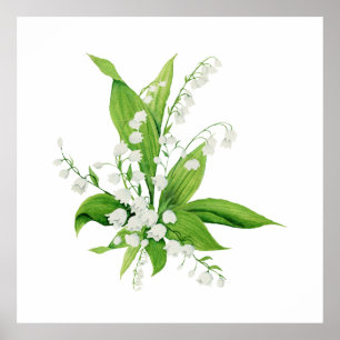 Poster Bouquet White Lily