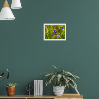 Poster Bourdon en fleurs