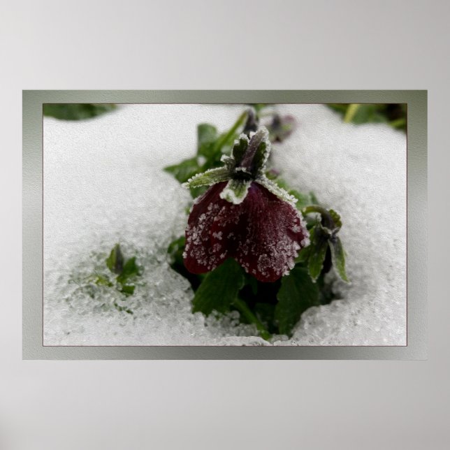 Poster Bourgogne (Devant)