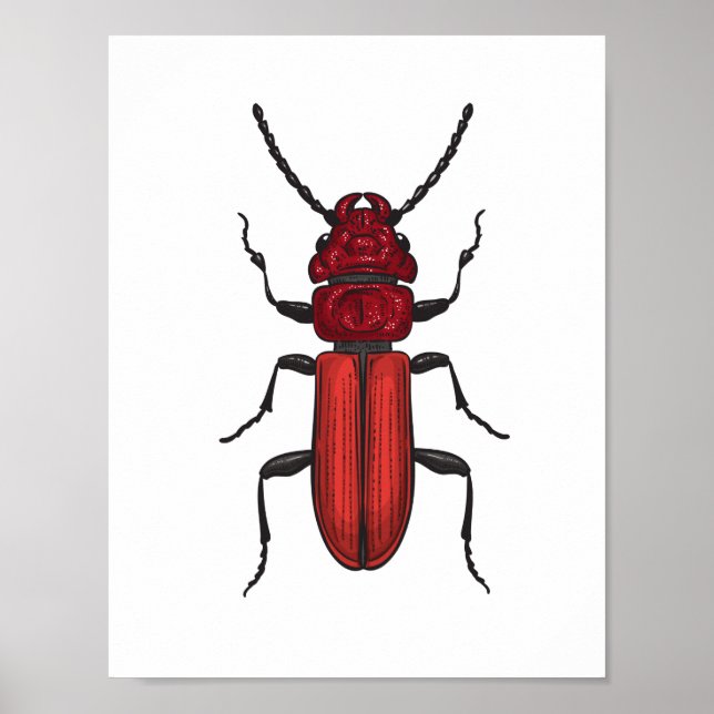 Poster Bousier rouge (Devant)