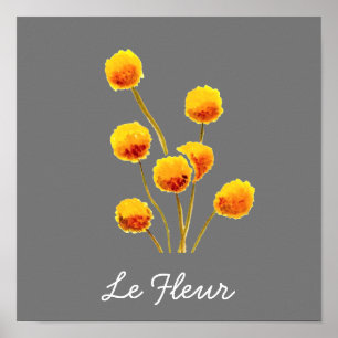 Poster Bouton Billy jaune fleur australienne originaire