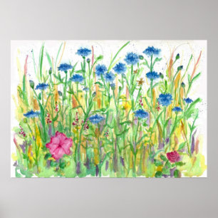 Poster Bouton bleu Bachelor Cornflower Aquarelle Art