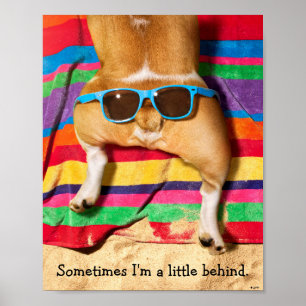 Poster Bouton de chien avec lunettes de soleil