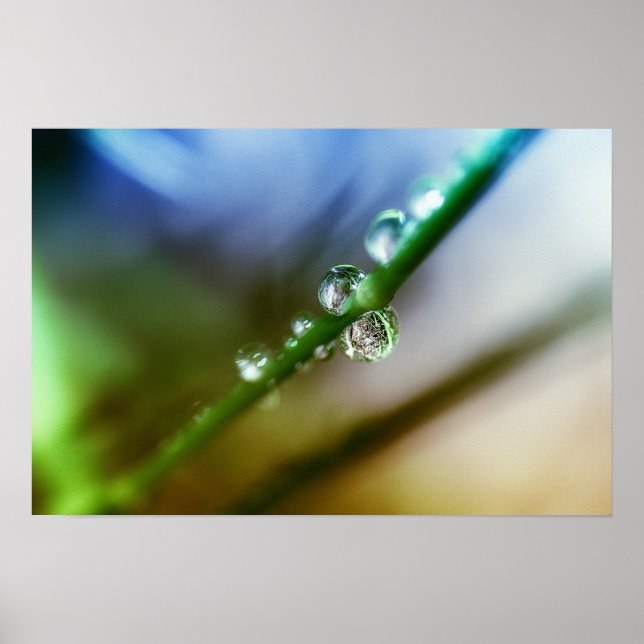 Poster Bouts (Devant)