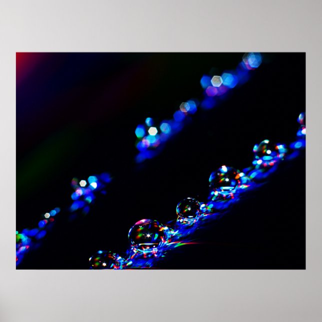 Poster Bouts Disco (Devant)