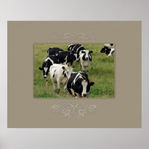 Poster Bovins laitiers