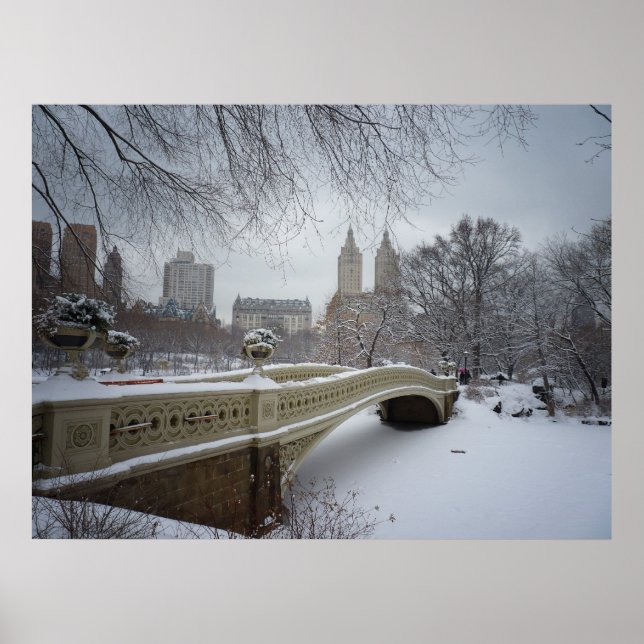 Poster Bow Bridge en hiver, Central Park, NYC, Toutes les (Devant)