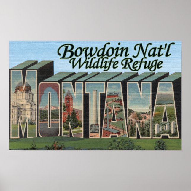 Poster Bowdoin Nat'l Wildlife Refuge, Montana (Devant)