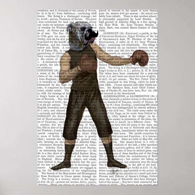 Poster Boxe Bulldog (Devant)