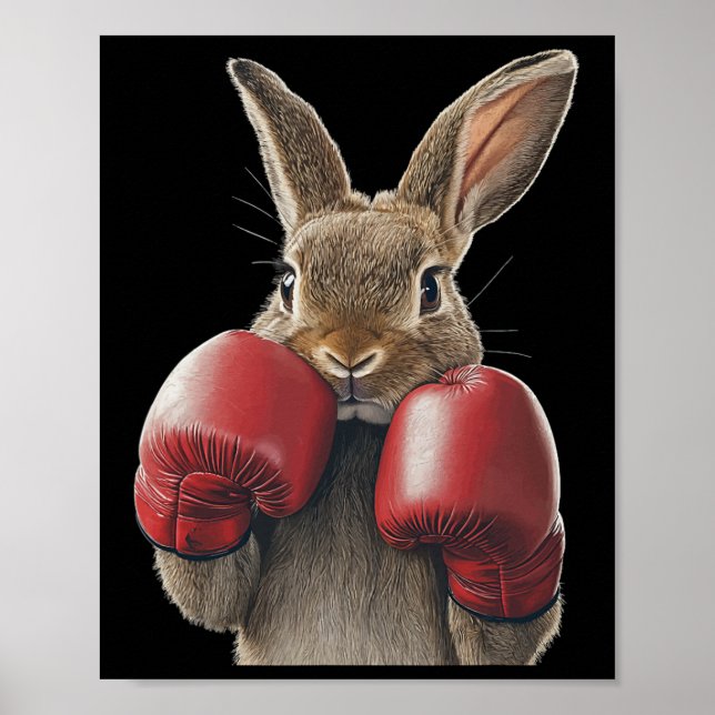 Poster Boxe de lapin (Devant)