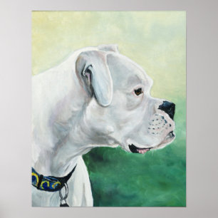 Poster Boxer blanc Chien Art Imprimer