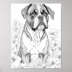 Poster Boxer Chien Adulte Coloration