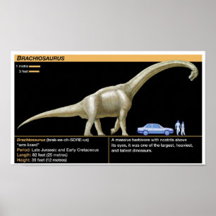 Poster Brachiosaurus - Biologie Jurassique