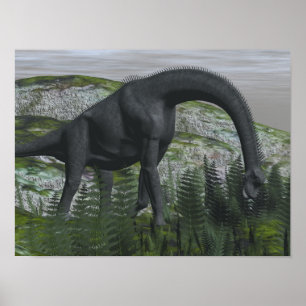 Poster Brachiosaurus dinosaure mangeant fougère - rendu 3