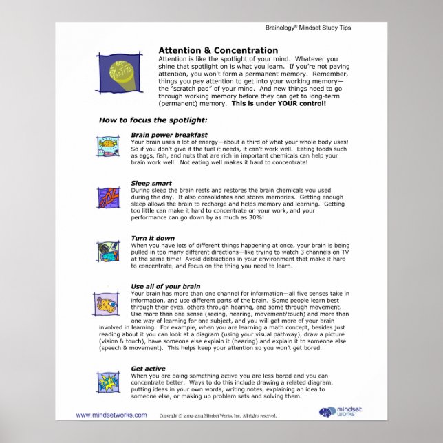 Poster Brainology® 3 : Attention et concentration (Devant)