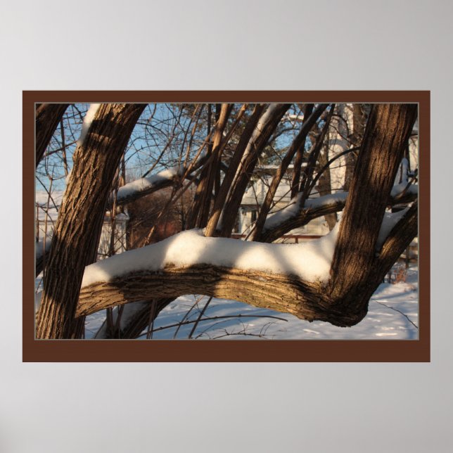 Poster Branche carrée (Devant)