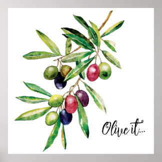 Poster Branche d'olive aquarelle
