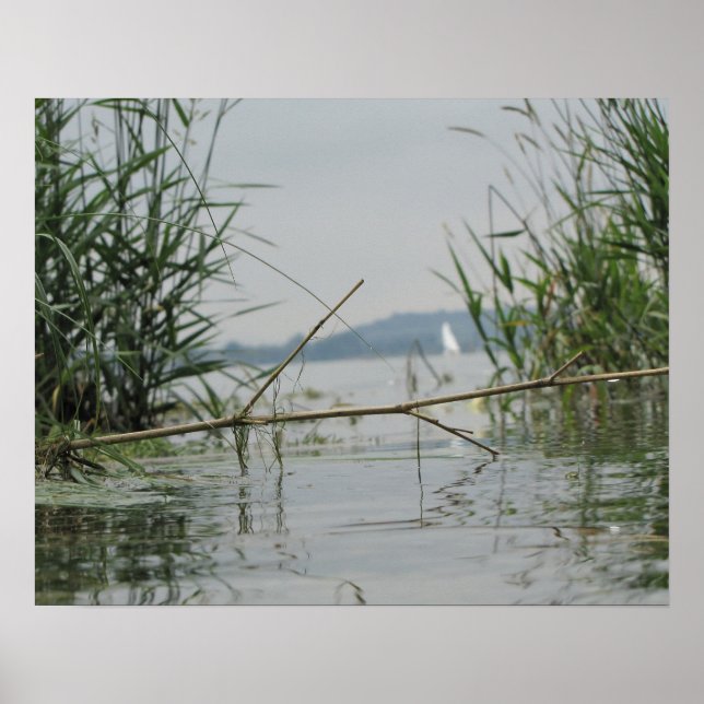 Poster Branche en eau douce (Devant)