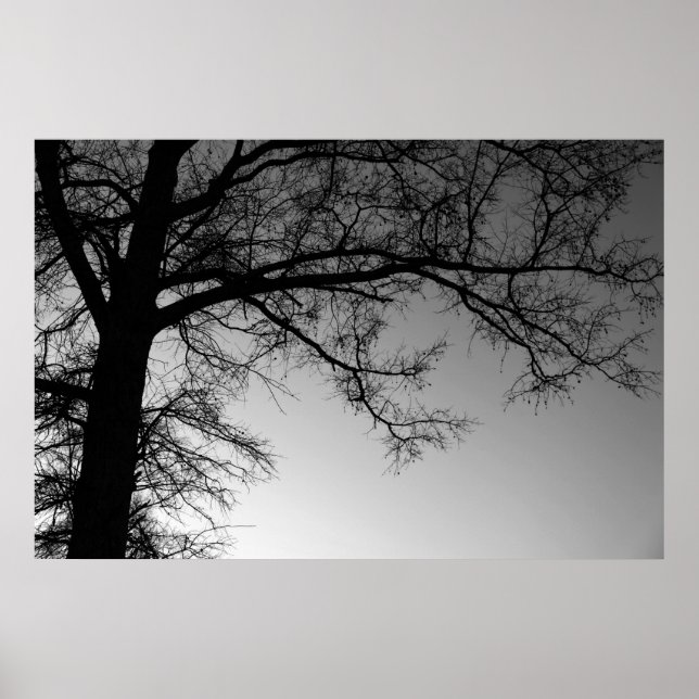 Poster Branches (Devant)