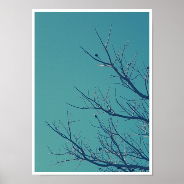 Poster Branches (Devant)