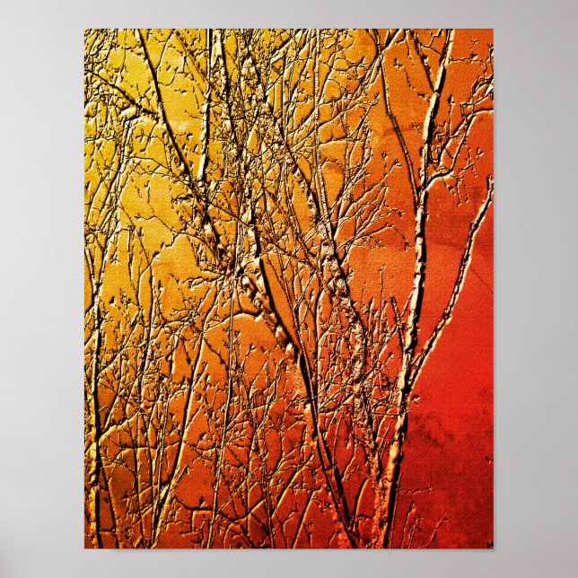 Poster Branches Abstraites d'arbre à bouleau nu (Devant)