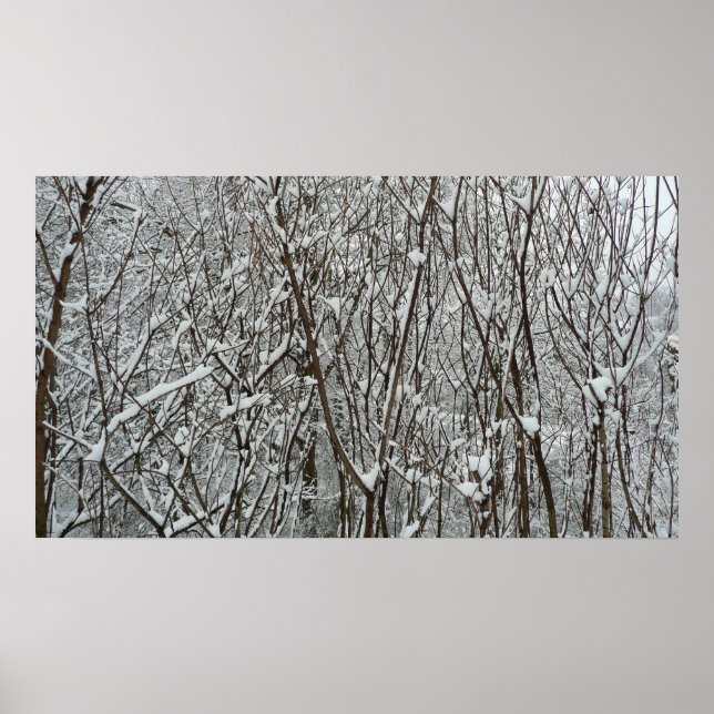 Poster Branches couvertes de neige hiver (Devant)