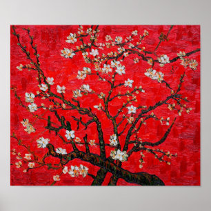 Poster Branches d'Amandiers en Blossom, Van Gogh