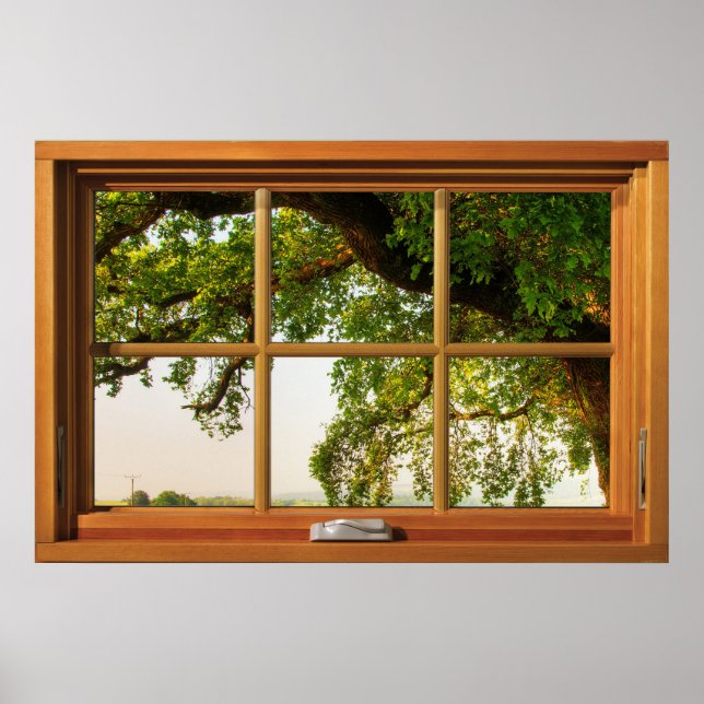 Poster Branches de chêne Fenêtre en bois Illusion (Devant)