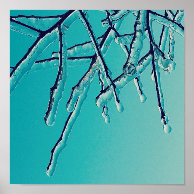 Poster branches de glace (Devant)