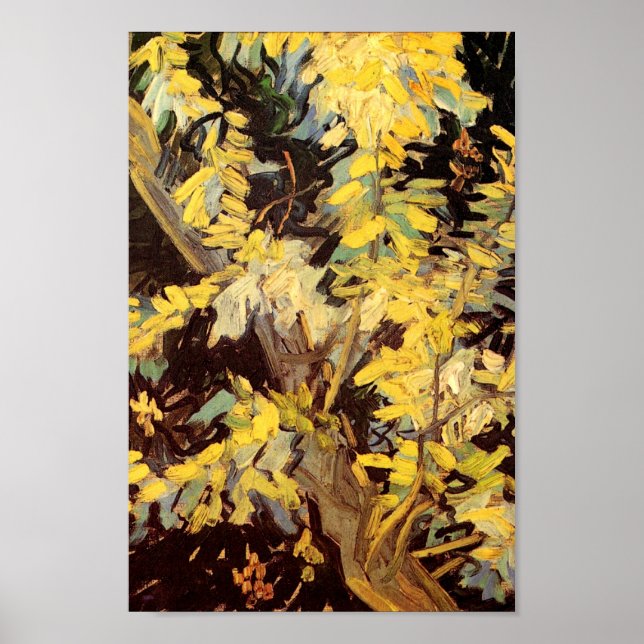 Poster Branches de l'acacia en floraison Van Gogh Art (Devant)